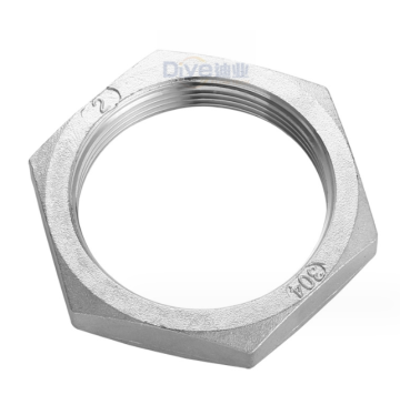 Stainless Steel Hex Nut