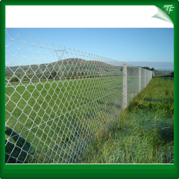 Pvc coated galvanized chain link mesh