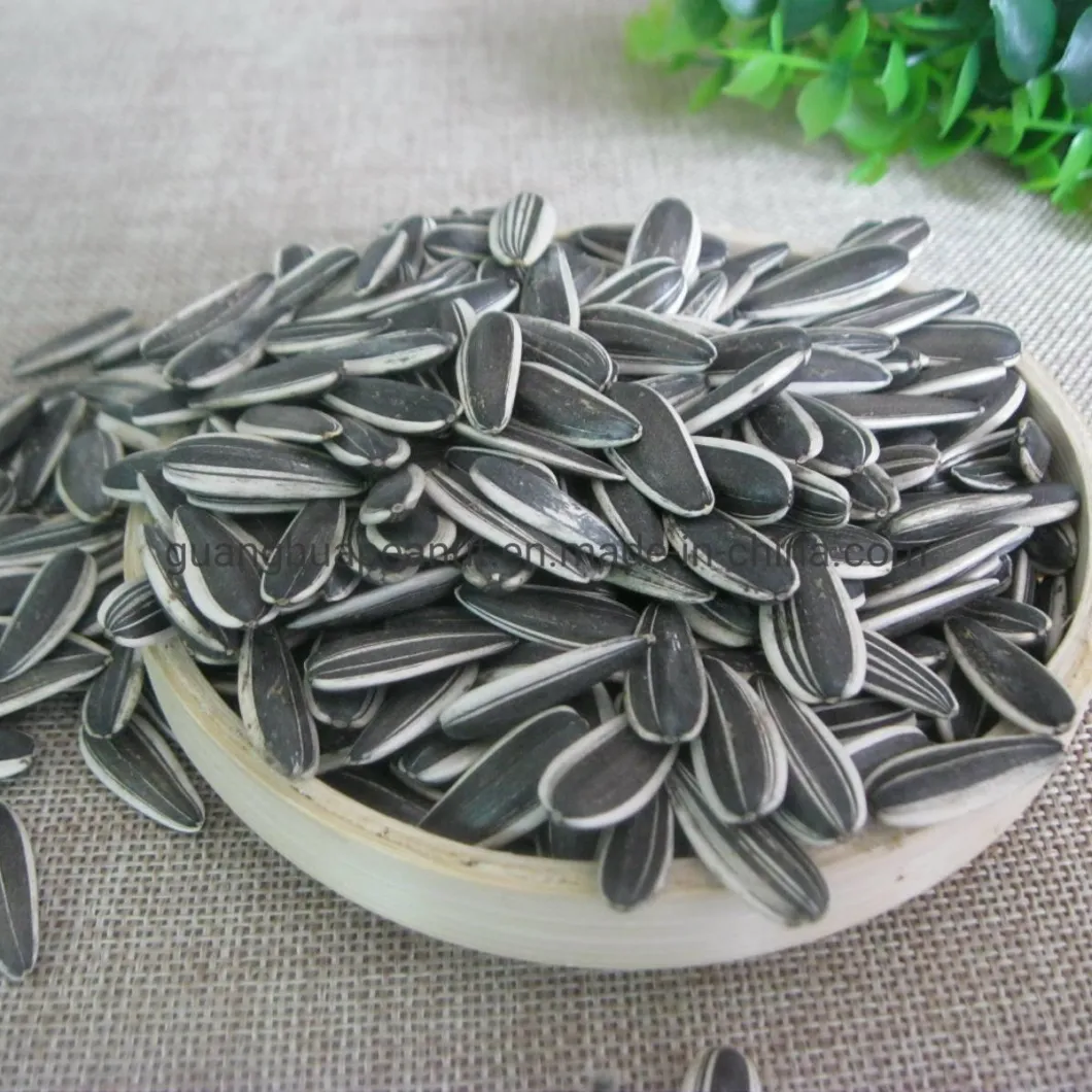 High Quality Sunflower Seeds From China