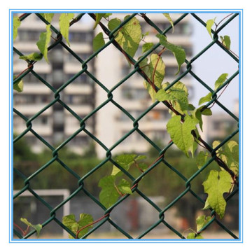 Diamond hole size wire mesh house fencing