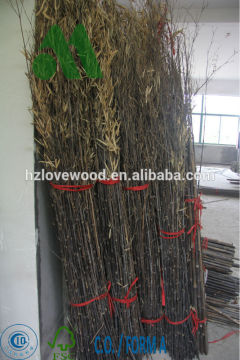 dry bamboo branches for decoration/decorative dry bamboo branches/bamboo art branches