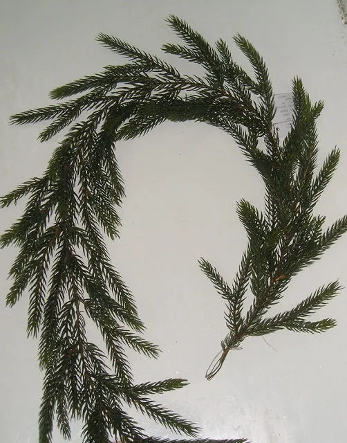 PE Link Spruce Fir Garland Artificial Plant for Christmas Decoration (42674)