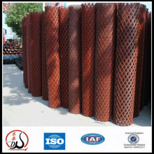 Expanded plate mesh in DongTai