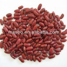 Beans,Red Beans, Red Kidney Beans Best, hight quality