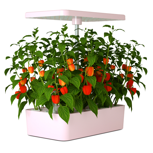 Mini desk indoor growing hydroponic system