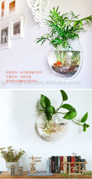 Clear Rowing Bowls,China innovative bowls