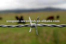 Electric galvanized barbed iron wire