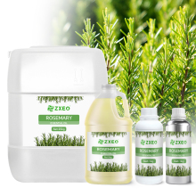 Hair Growth Rosemary Essential Oil – Cosmetic Grade, OEM Available