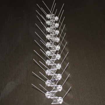 Pigeon and Bird Control Products & Services