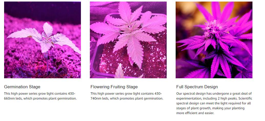 Led Horticultural Lighting