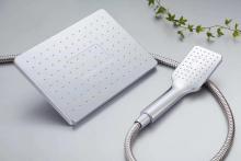 Professional Bright Crest Handheld Shower