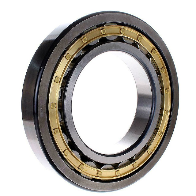 Japan Bearing NN3011C1NAP5 Double row cylindrical roller bearing