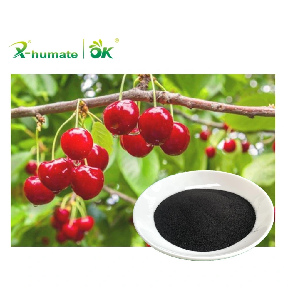 X-Humate Organic Fertilizer Manufacturer Humate Acid Bioactive Preparation Potassium Humate