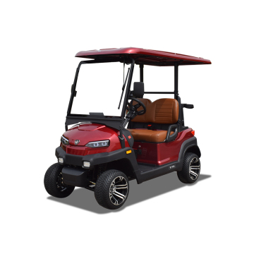2-seater golf patrol car