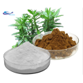 Organische Huperzia serrata extract 1% -99% huperzine a