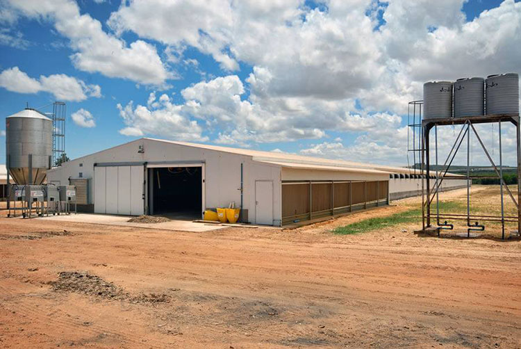 chicken shed house poultry farm for sale chicken coop house chicken egg farm building poultry