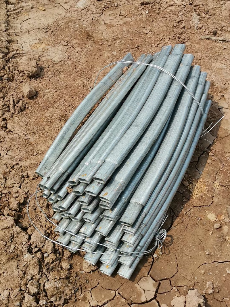 متجذر في الأرض، وتمكين التنشيط: مشروع الدفيئة الزراعية لجراد البحر في نانتشوان في تشينغتشنغ يتقدم بشكل مطرد Rooted in the Land, Empowering Revitalization: Qingcheng Agriculture’s Nanchuan Crayfish Greenhouse Project Advances Steadily