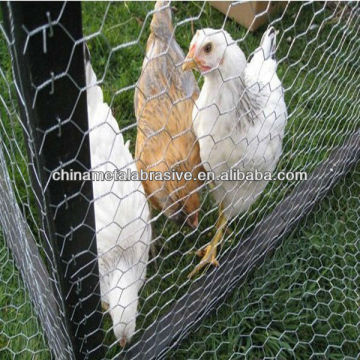 Galvanized chicken wire mesh(factory)