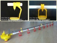 New design poultry farm poultry drinking systems