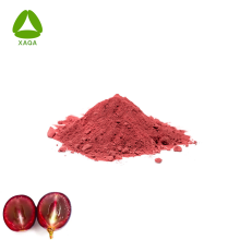 Food Grade Red Grape Skin Extract 10% Resveratrol