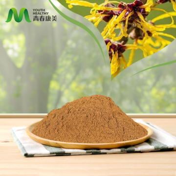 Witch Hazel Extract for Natural Skin Care