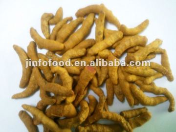 dried Turmeric fingers