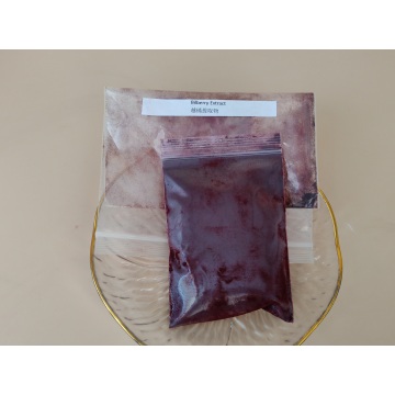 Ekstrak Bilberry
