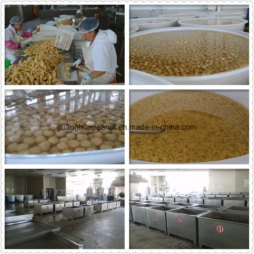 Best Quality Preserved Ginger Slices Bulk Price