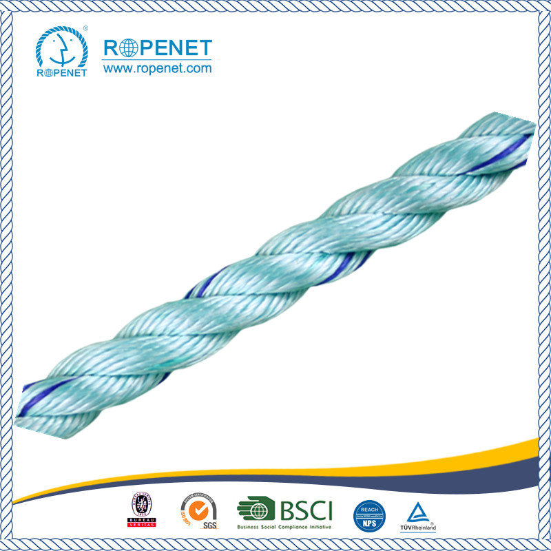 PP 3 Strands Twisted Danline Rope for Supermaket Hot Sale