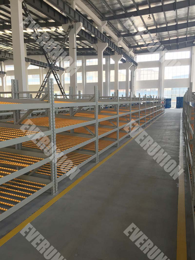 Gravity Flow Roller Racking Systems Carton Flow Racks