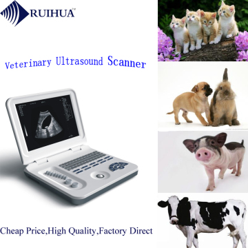 Vet Ultrasound scanner pregnancy test instrument