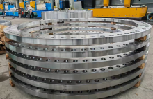 Precision Forged Petrochemical Flange