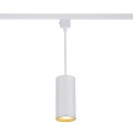 Hanging Pendant Lighting Light with LED Bulb