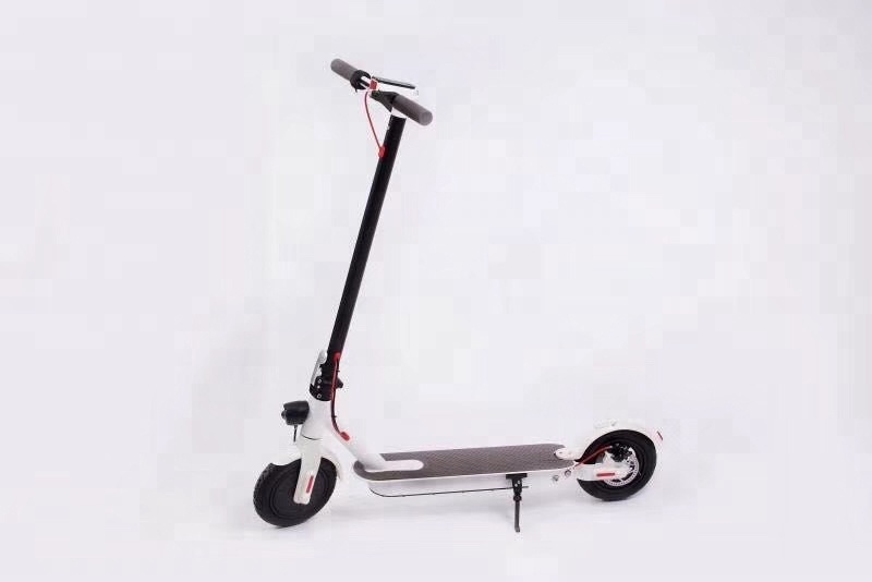 board Scooter Electric