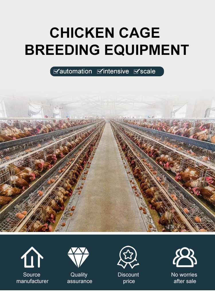 H-type Automatic Chicken And Duck Layer Cage For Poultry Farming, High ...