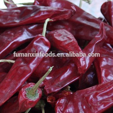 yi du Chilli