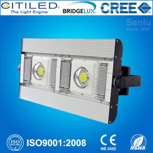 New design high power 100w led outdoor canopy light