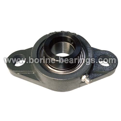 2 Bolt Flanj Basic UcFl200 seriyali