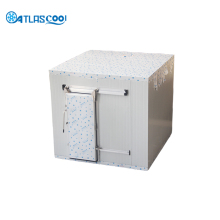 Cold storage cold room for ice