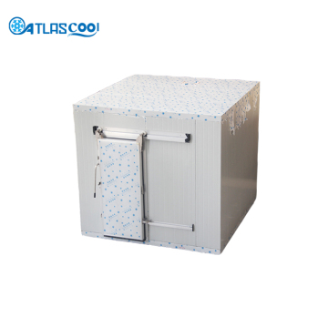 Cold storage cold room for ice