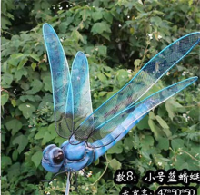 Simulation Dragonfly A Lights