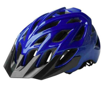 Bike Riding Helmet Popular Models