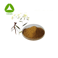 10:1 Bupleurum Root Extract Powder