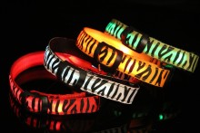fashion dog accessories/LED dog collar/lighter dog collar