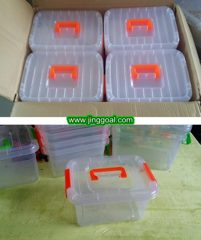 Small  and  Large  Plastic Storage  Box