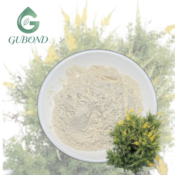 Luteolin Powder for Dietary Supplement Ingredients