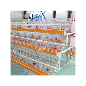 China Supplier for Pullet Hen Cage and Battery Pullet Cages with Overflow Device