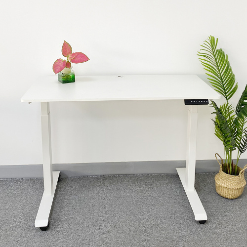 Ergonomic Dual Motor Adjustable Height Desk