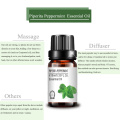 Piperita Peppermint Oil Peppermint de grado cosmético para masajes