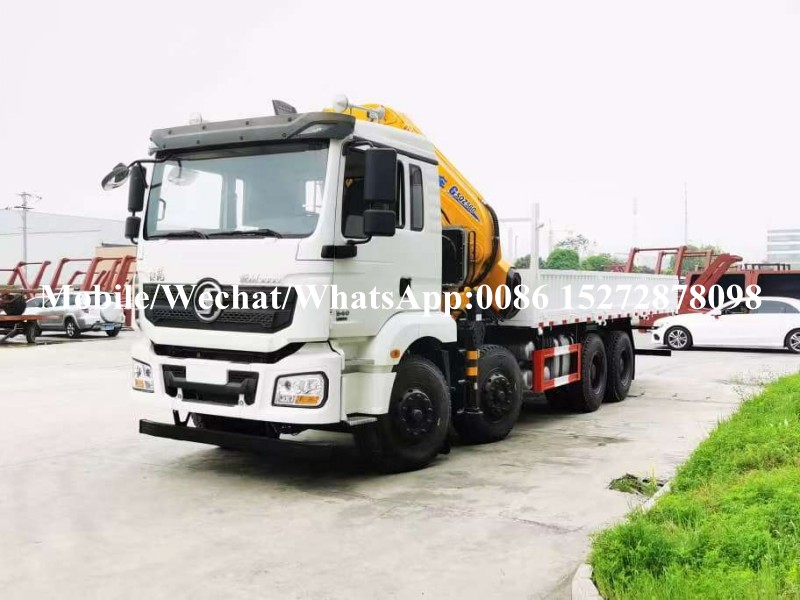 Grúa montada en camión (5) Truck Mounted Crane (5)